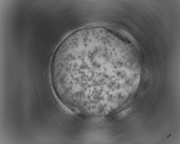 X0000073461055200608181300