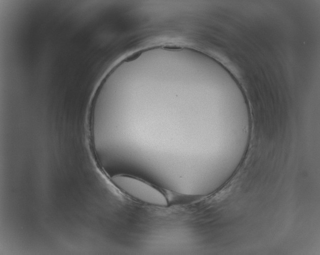 X0000073461056200608181300