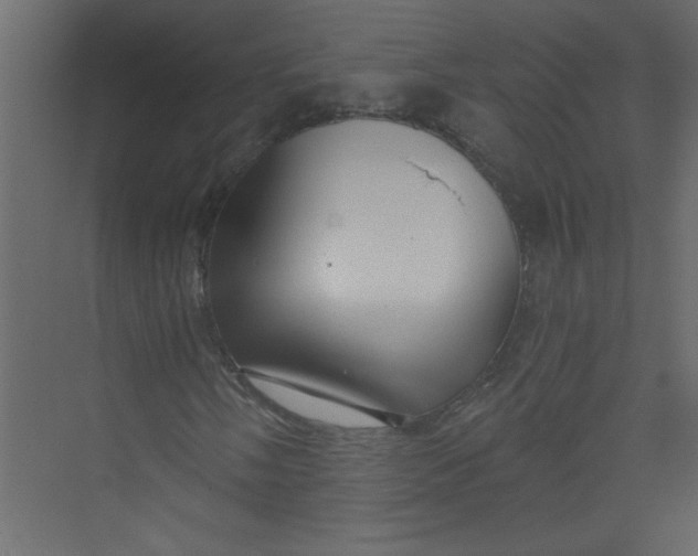 X0000073461058200608181259