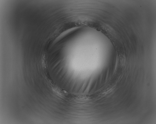 X0000073461060200608181259