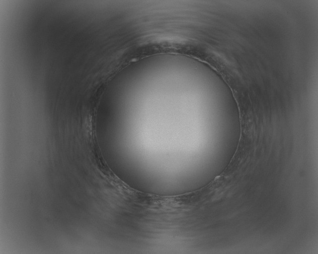 X0000073461061200608181259