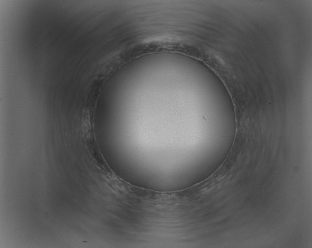 X0000073461062200608181259