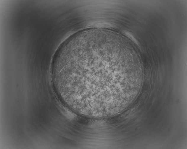 X0000073461071200608181259