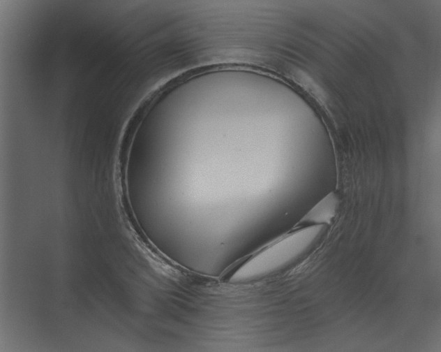 X0000073461072200608181259