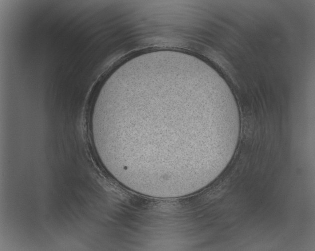 X0000073461074200608181259