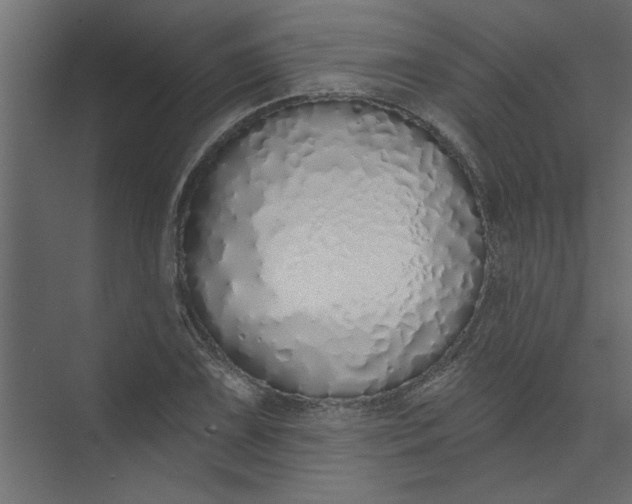 X0000073461075200608181259