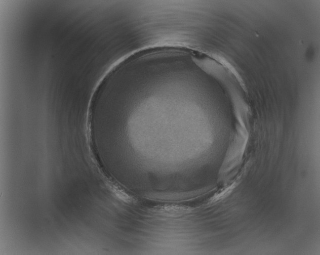 X0000073461077200608181259