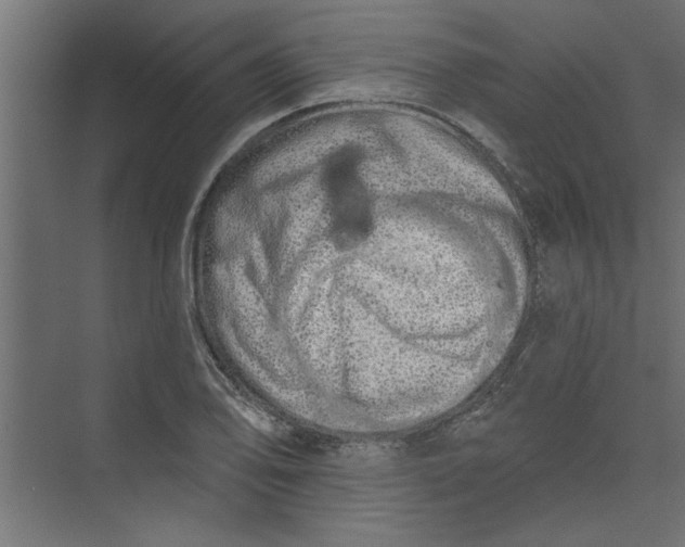 X0000073461078200608181259