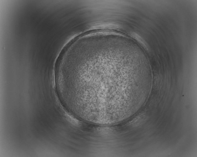 X0000073461079200608181259