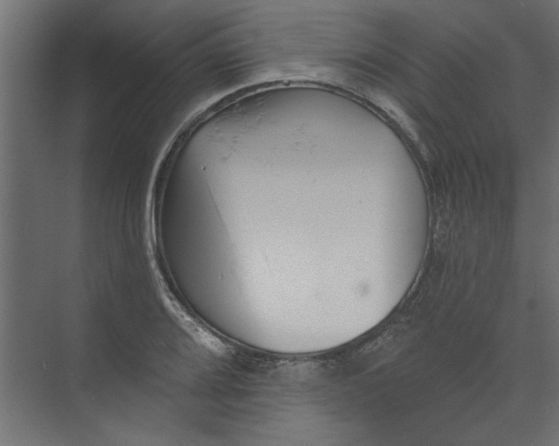 X0000073461080200608181259