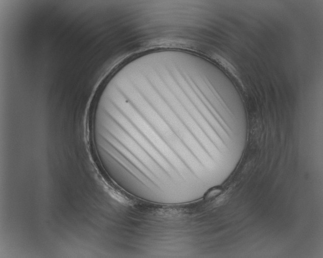 X0000073461082200608181259