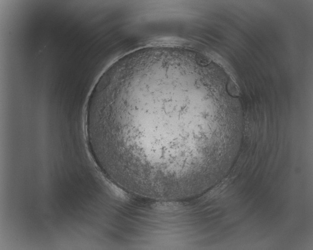 X0000073461083200608181259