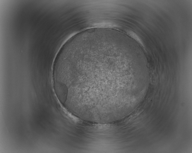 X0000073461087200608181259