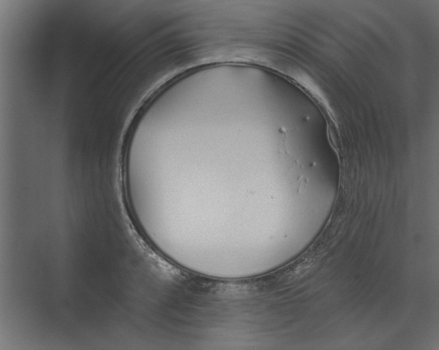 X0000073461088200608181259