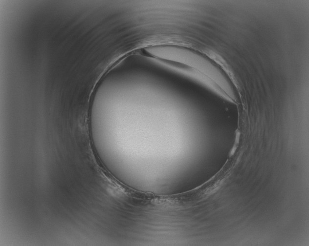 X0000073461089200608181259