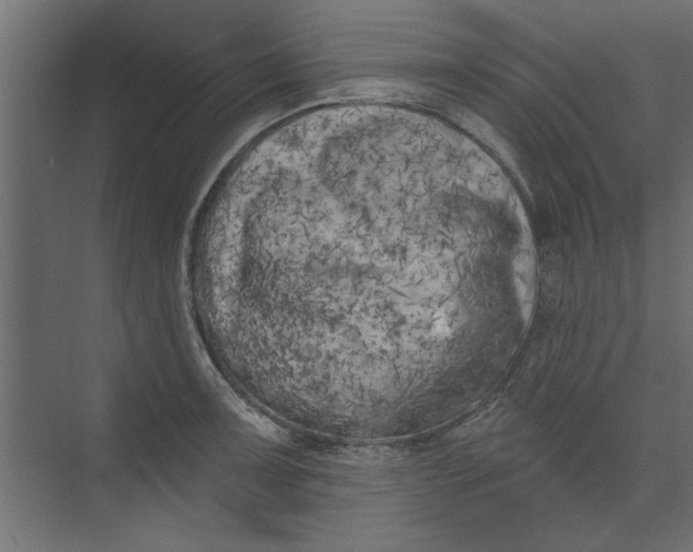 X0000073461091200608181259