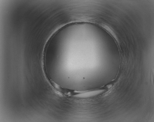 X0000073461093200608181259