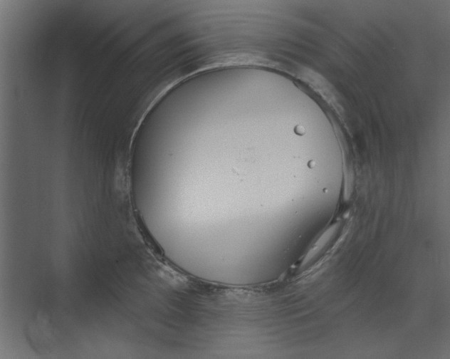 X0000073461097200608181259