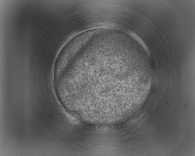 X0000073461099200608181259