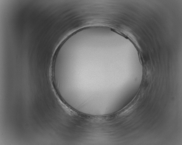 X0000073461101200608181259