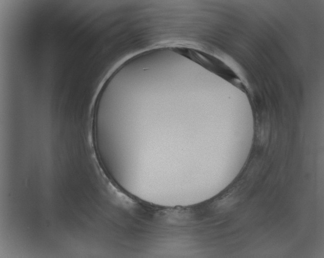 X0000073461102200608181259