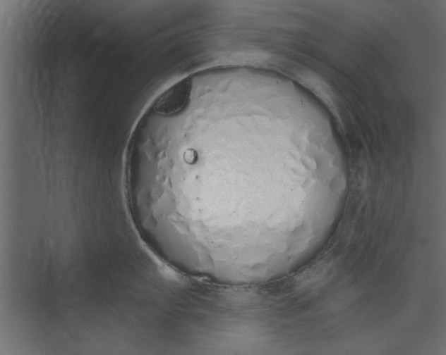 X0000073461103200608181259