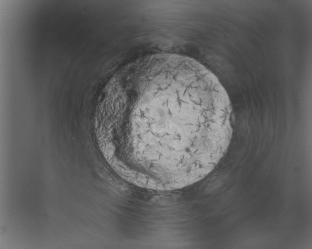 X0000073461105200608181258