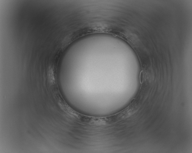 X0000073461106200608181258