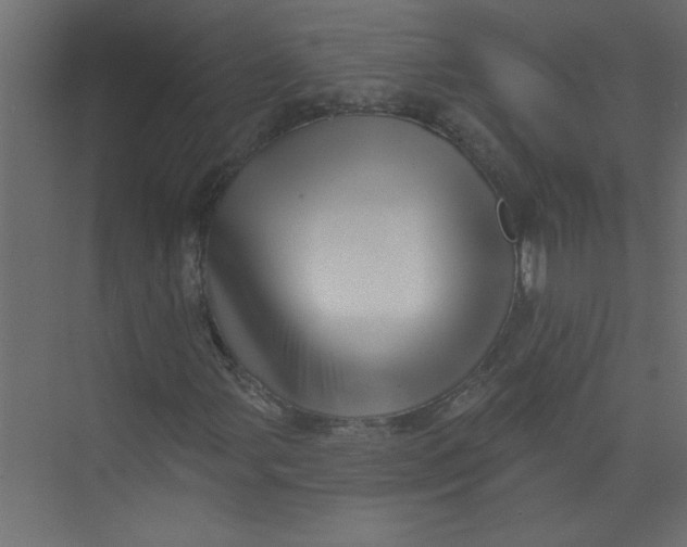 X0000073461107200608181258