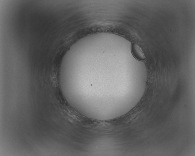 X0000073461109200608181258