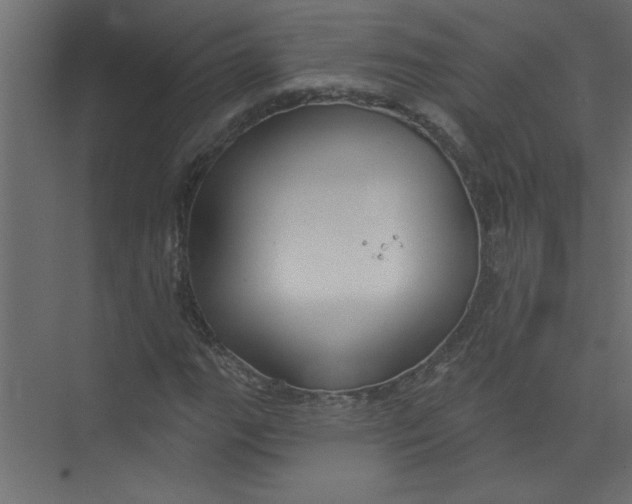 X0000073461111200608181258