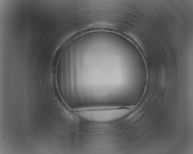 X0000073461115200608181258