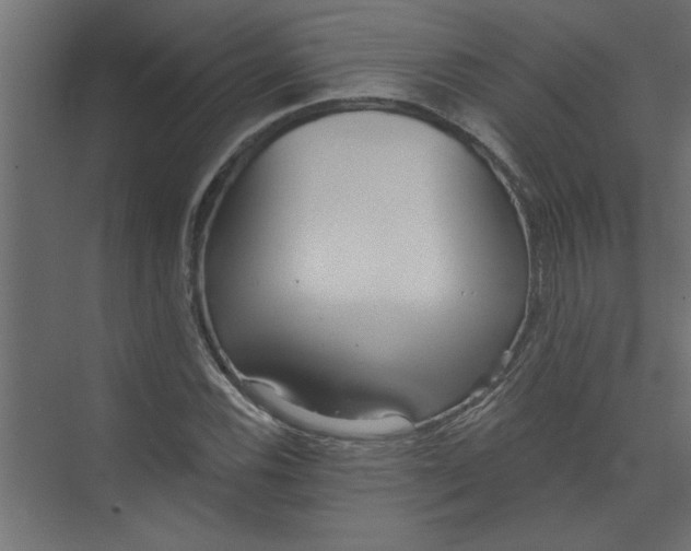 X0000073461116200608181258