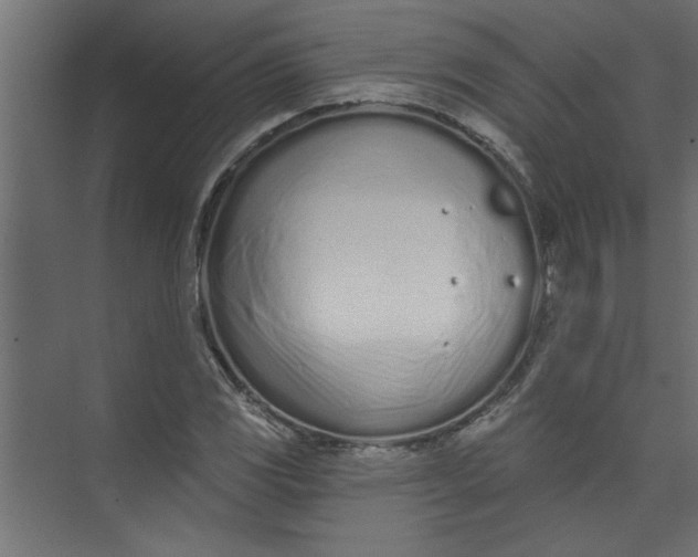 X0000073461117200608181258