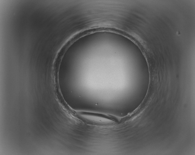 X0000073461118200608181258