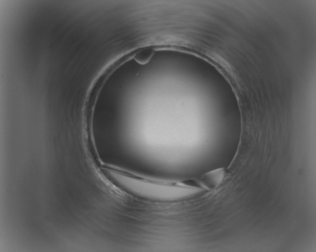 X0000073461120200608181258