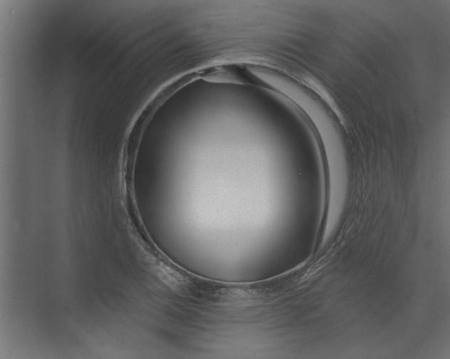 X0000073461124200608181258