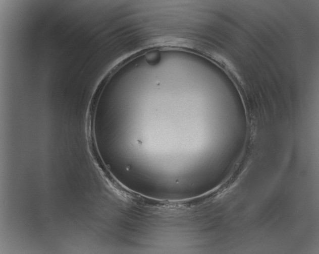 X0000073461125200608181258