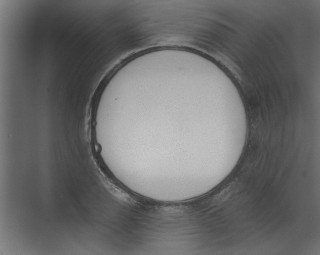 X0000073461126200608181258