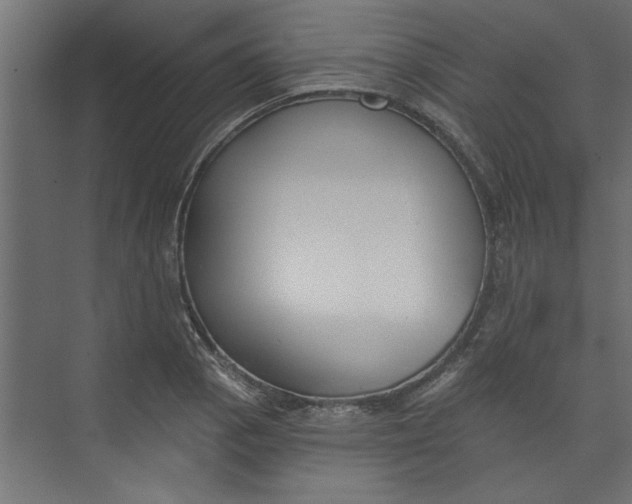 X0000073461129200608181258