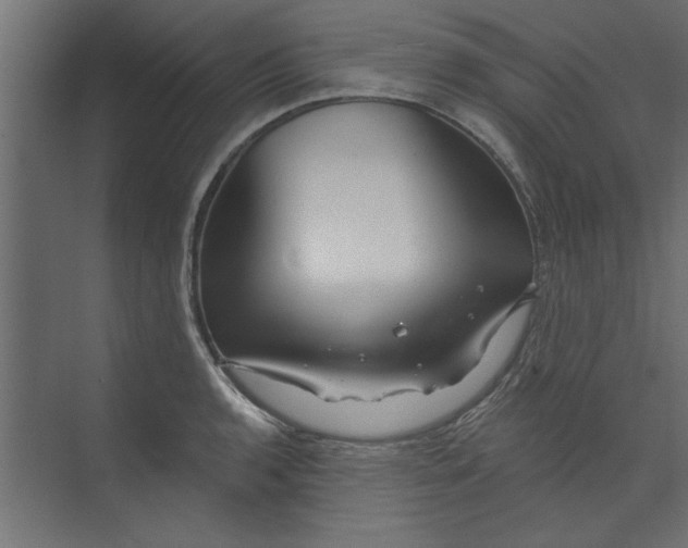 X0000073461136200608181258