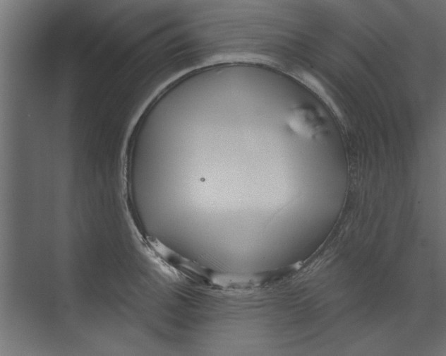 X0000073461140200608181258