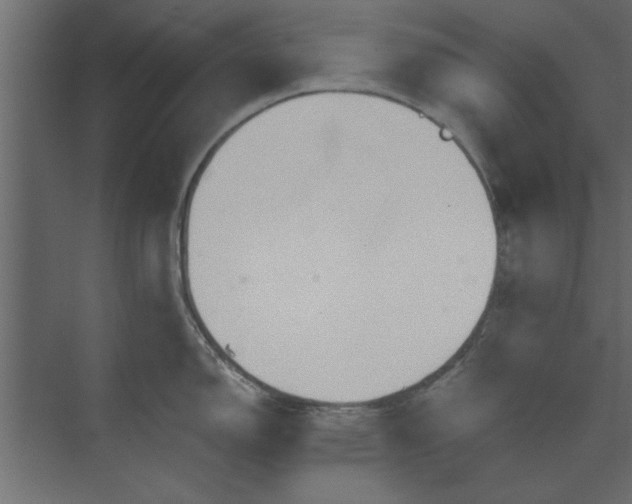 X0000073461150200608181258