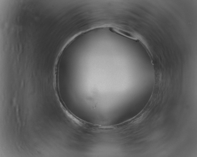 X0000073461151200608181258