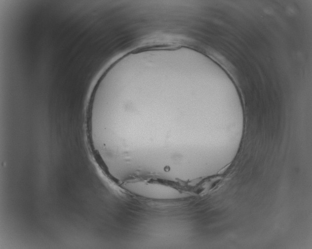 X0000073461152200608181258