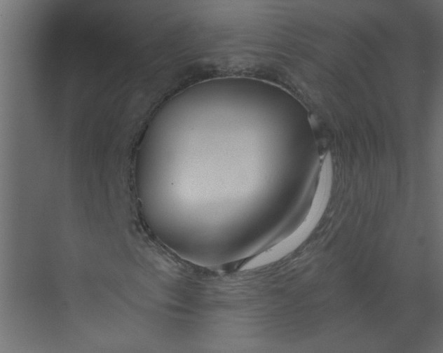 X0000073461153200608181258