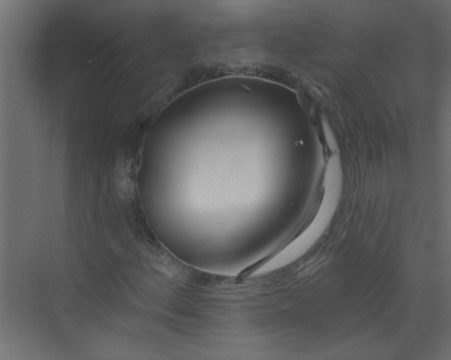 X0000073461156200608181258