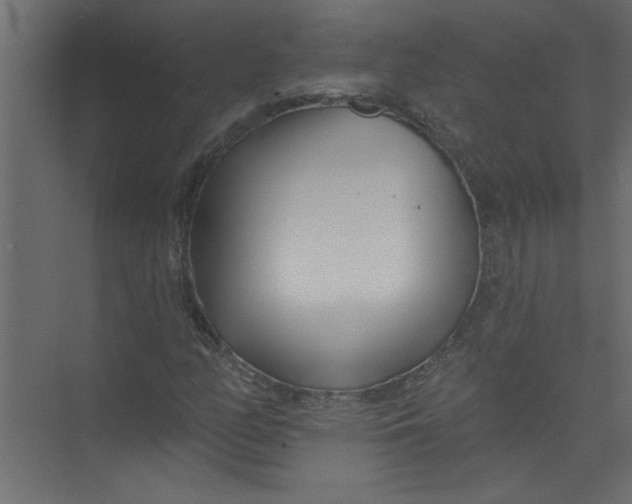 X0000073461158200608181258