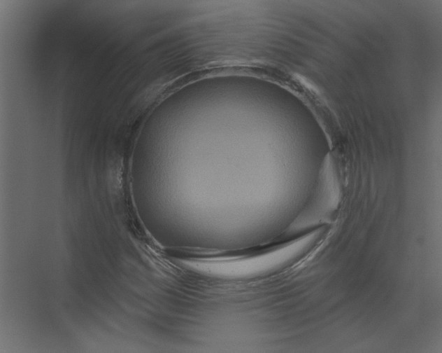 X0000073461161200608181258