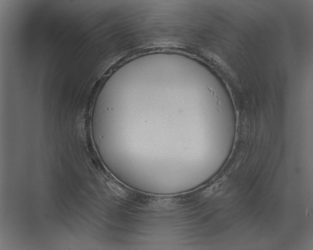 X0000073461162200608181258